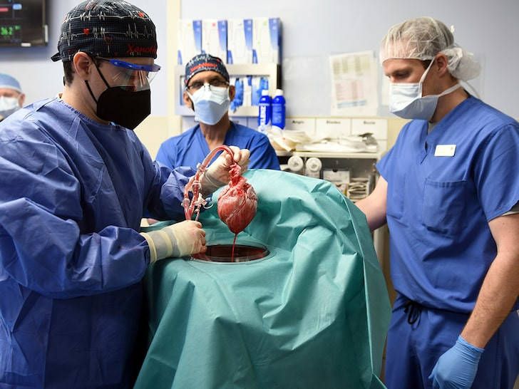 Pig heart transplanted into American man in breakthrough surgery